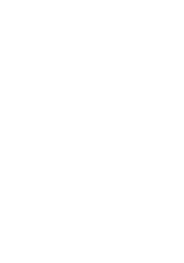 lightning icon